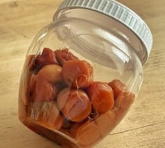 梅干しってすごい！のイメージ